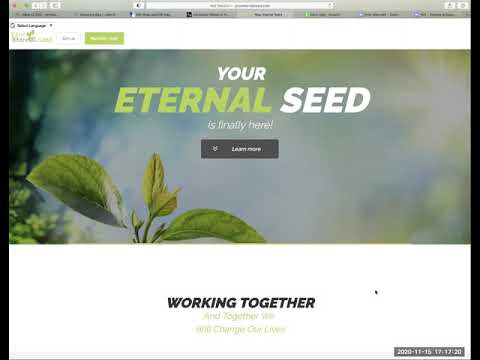 Your Eternal Seed - Back Office Training
