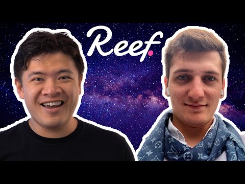 Reef Finance: Taking DeFi to a NEW LEVEL
