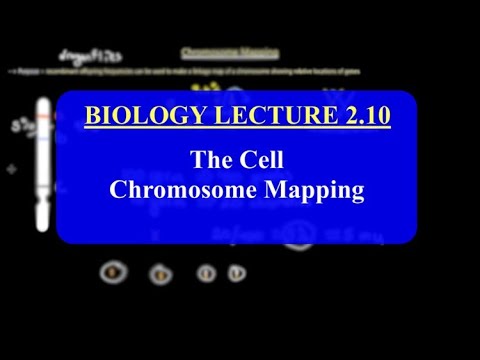 IMAT Biology Lesson 2.10 | The Cell | Chromosome...