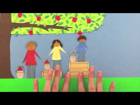 Long Story Shortz - Fairness