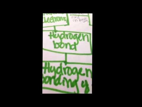 Cell Biology 2440:Lab 1 Chemistry Concept map