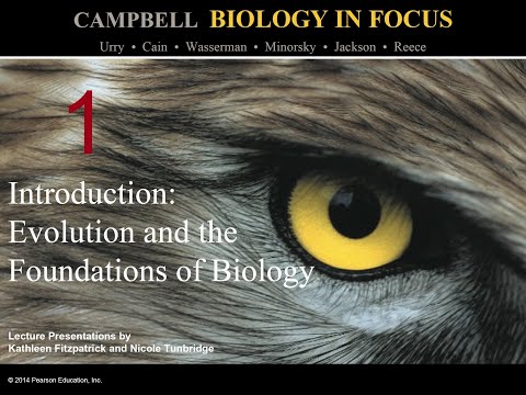 Biology in Focus Chapter 1: Introduction - Evolution...