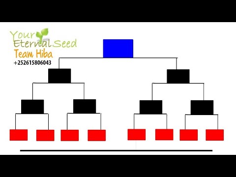 CASHARKA 3AAD ¦ YOUR ETERNAL SEED ¦ QAABKA AY...