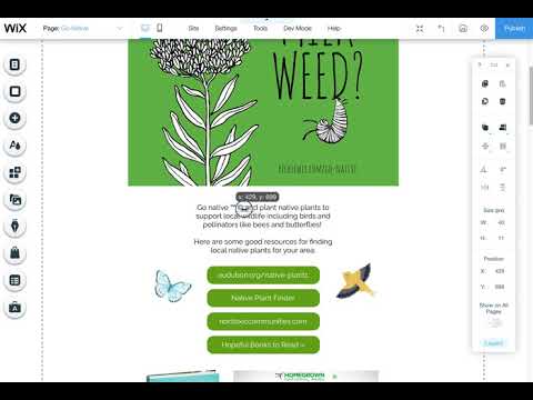 Adding Trademarks Copyrights to Wix Website Text